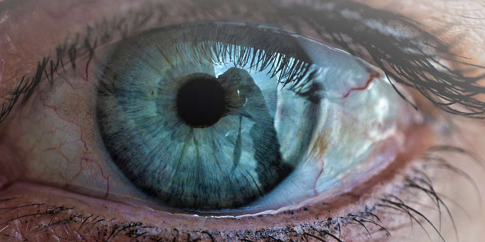 iridologia iridologia