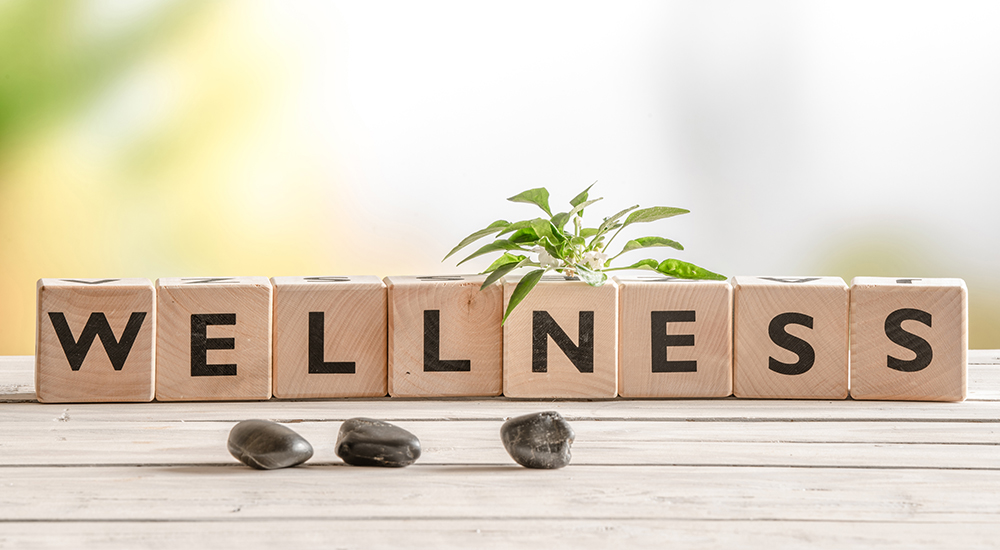 wellness6 wellness6