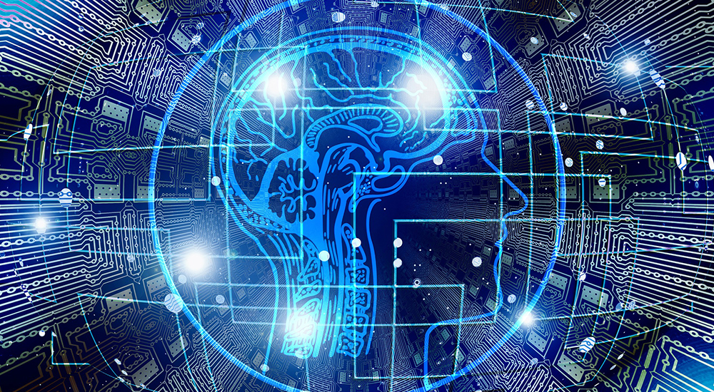 brain2 brain2