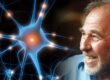 Bruce Lipton
