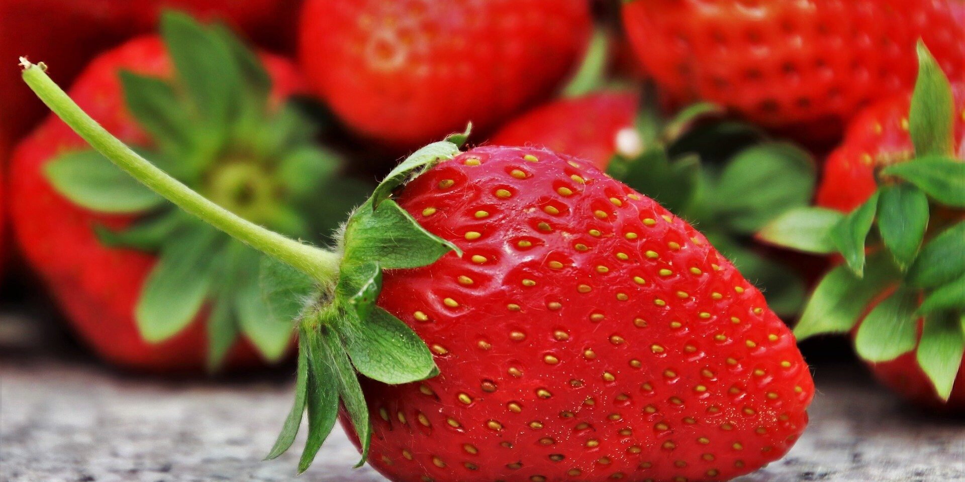 Fragole